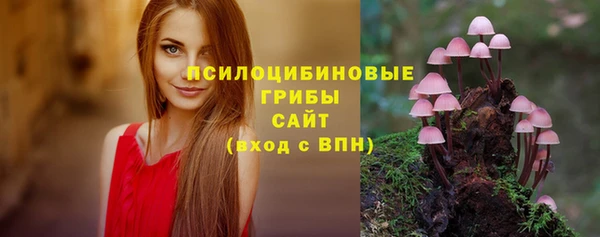 ешки Горно-Алтайск