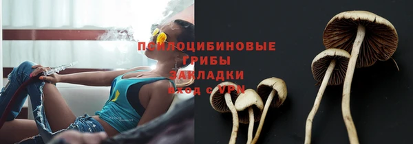 крисы Горнозаводск