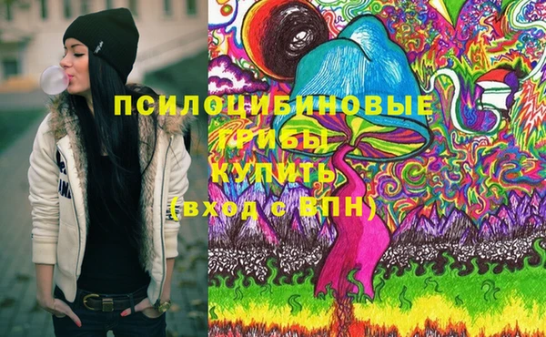 бутират Горняк