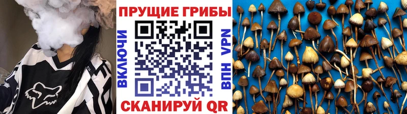 Галлюциногенные грибы GOLDEN TEACHER  Купить закладки  Азов 